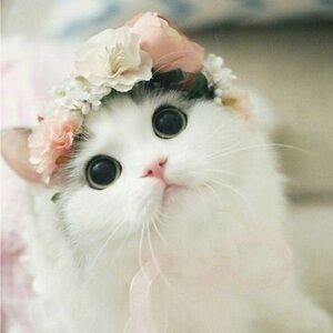 ***Reserved purchase! Do not buy unless for you!***